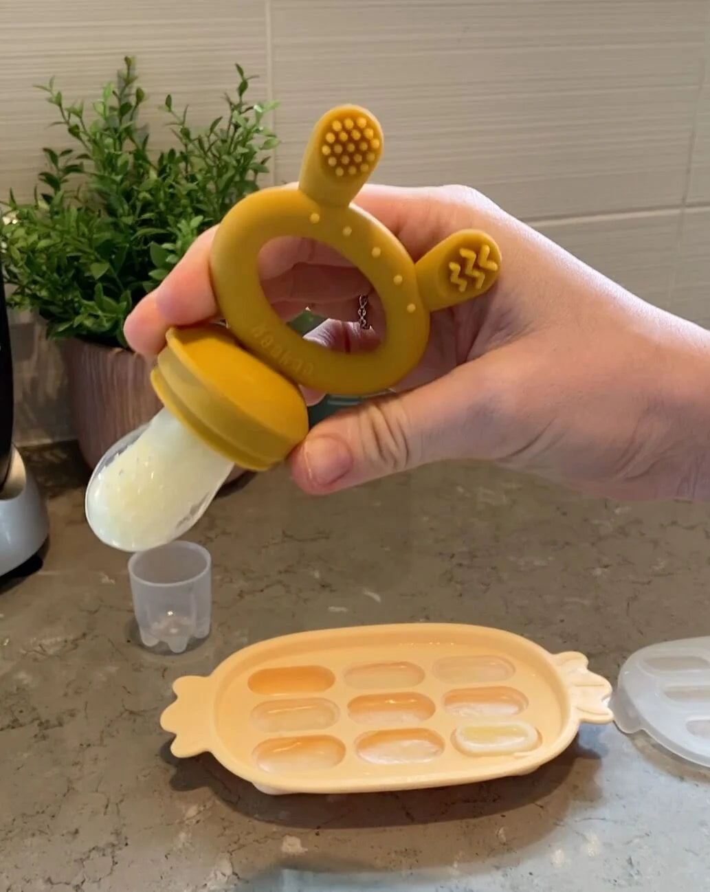 Silicone Nibble Tray